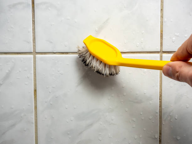 Best Mold Cleaning Services  in Edgerton, WI