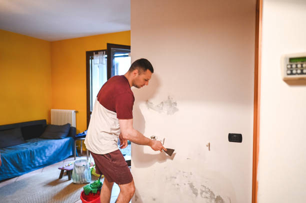 Best Crawl Space Mold Removal  in Edgerton, WI