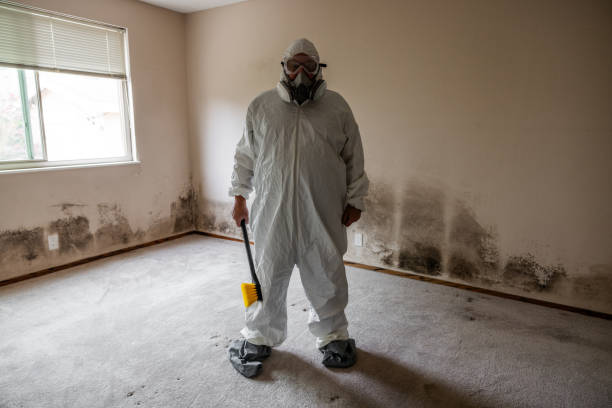 Best Emergency Mold Removal  in Edgerton, WI
